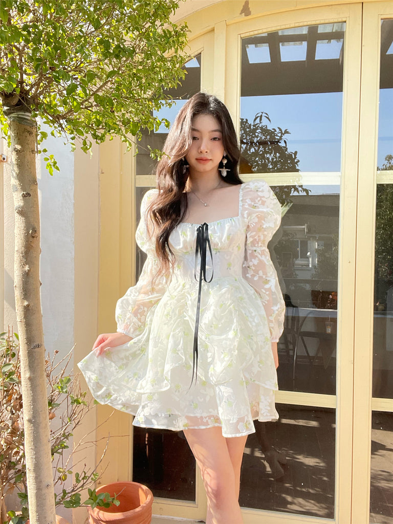 mesh fairy dress Garden ~ HANDMADE Medium quality spandex and power Color:Silver Champagne Status:WBestSeller Kurt Knit Pleated Maxi