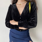 Black Swan Velvet Blouse