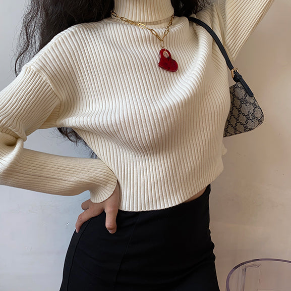 Minimalist Lifestyle Knit Turtleneck Sweater