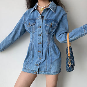 Designer Chic Denim Dress