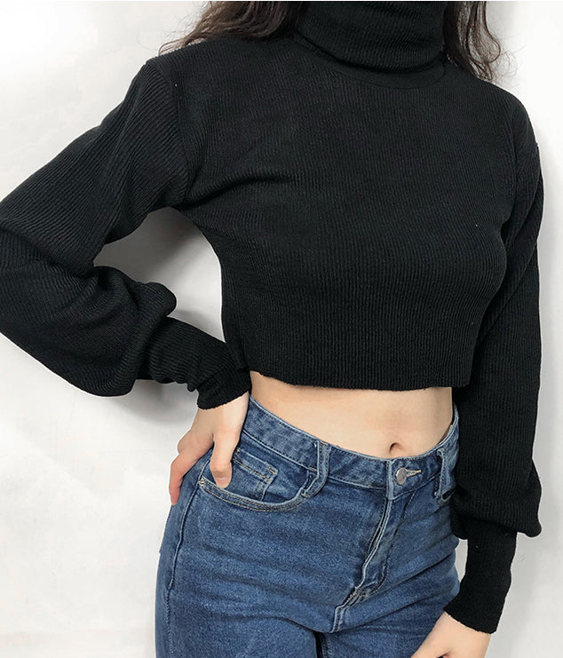 Chunky Knit Cropped Sweater - Pellucid