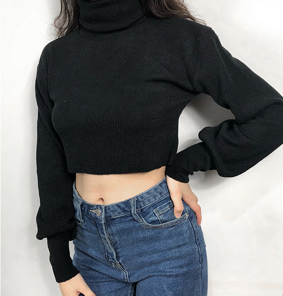 Exaggerated Ribbed High Neck Chunky Knit Crop Sweater in Dark