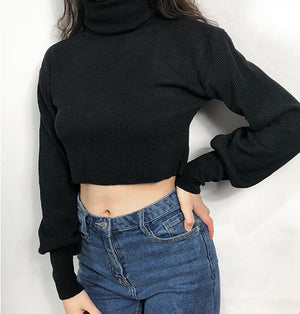 Chunky Knit Cropped Sweater - Pellucid