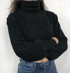 
            
                Load image into Gallery viewer, Chunky Knit Cropped Sweater - Pellucid
            
        
